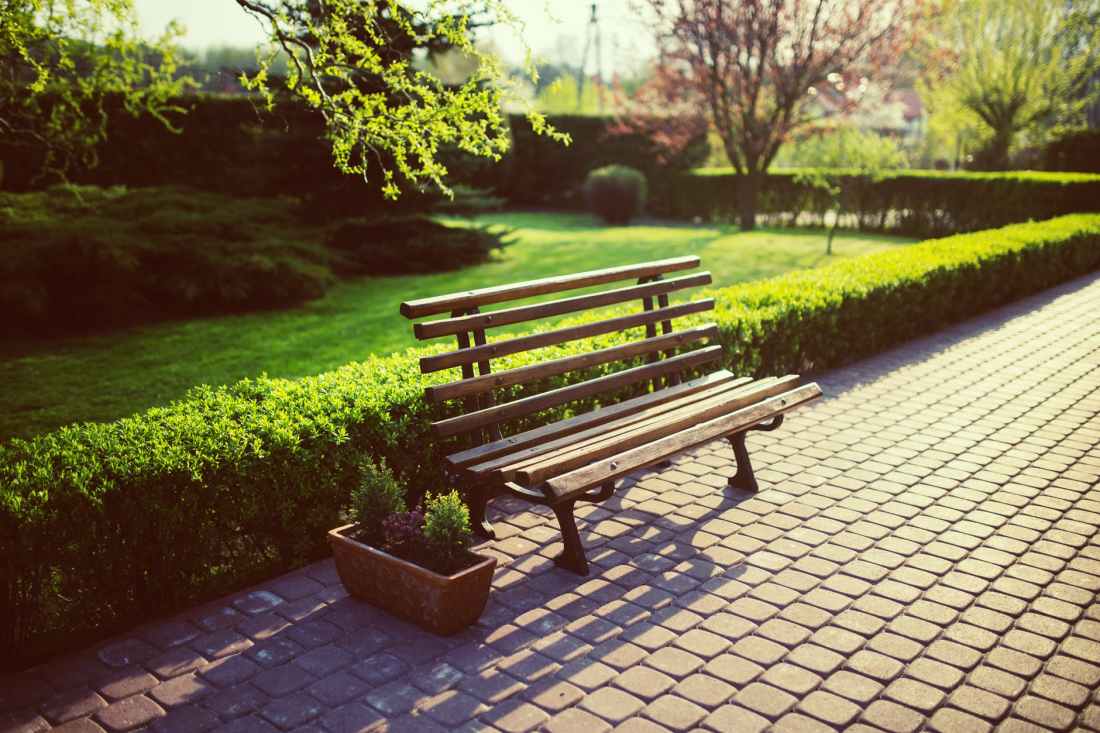 bench in the garden