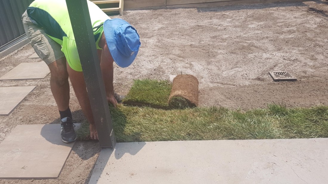 dad lays your turf.jpg